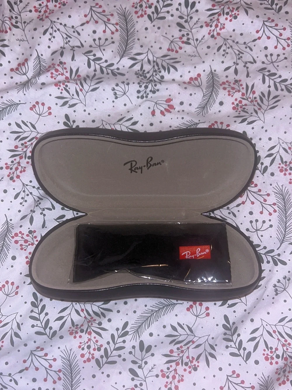 Ray-Ban Black Hard Sunglasses Case